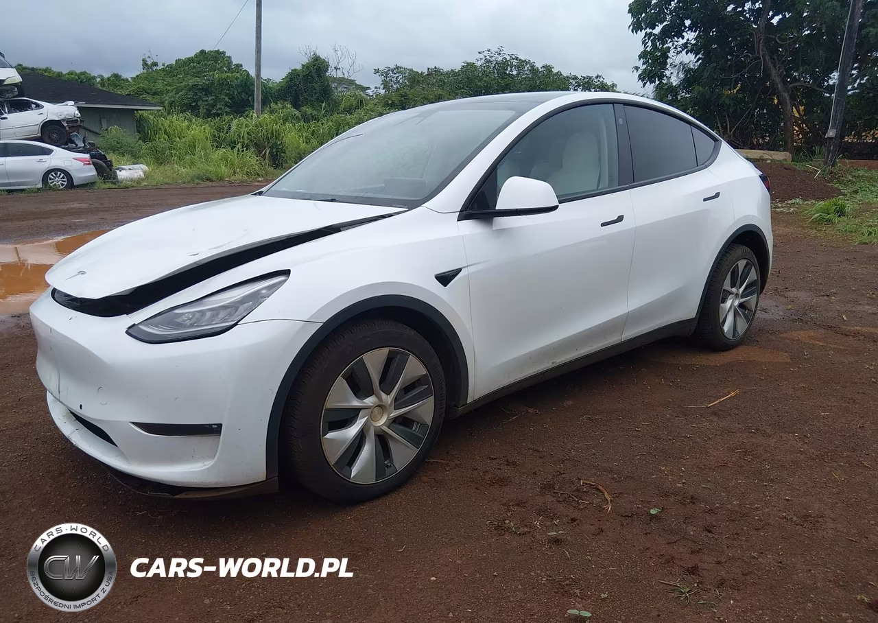 2021 Tesla Model Y Long Range Dual Motor All-Wheel Drive VIN:5YJYGDEE7MF279142 - 2