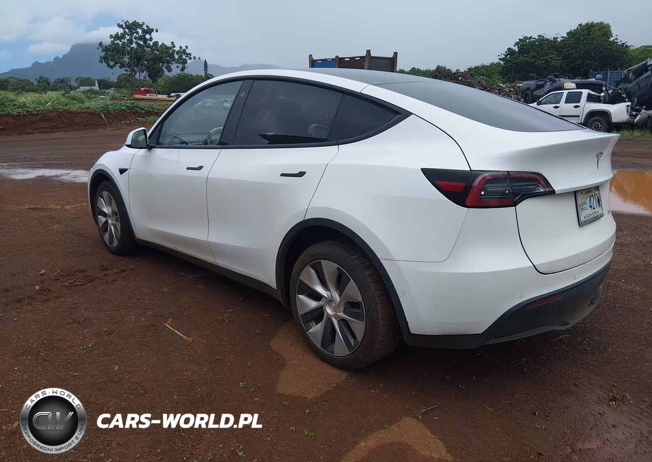 2021 Tesla Model Y Long Range Dual Motor All-Wheel Drive VIN:5YJYGDEE7MF279142 - 3