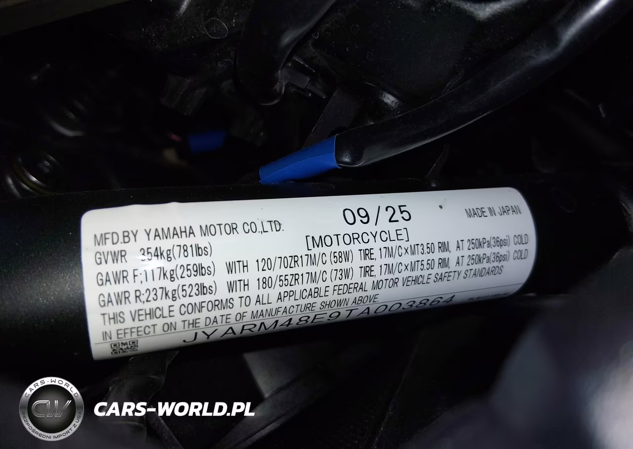 2026 Yamaha Mtn690 VIN:JYARM48E9TA003864 - 10