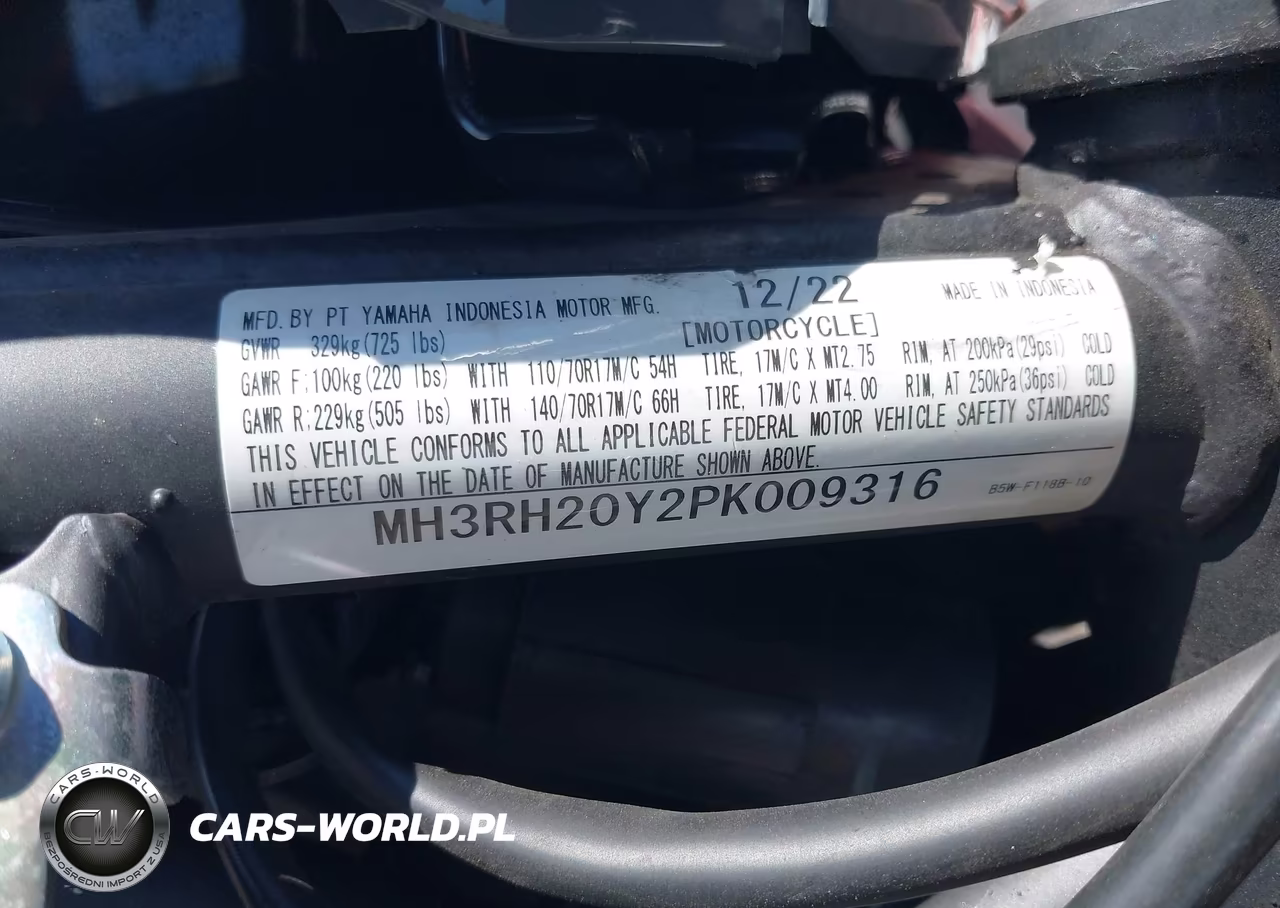 2023 Yamaha Mt-03 VIN:MH3RH20Y2PK009316 - 10