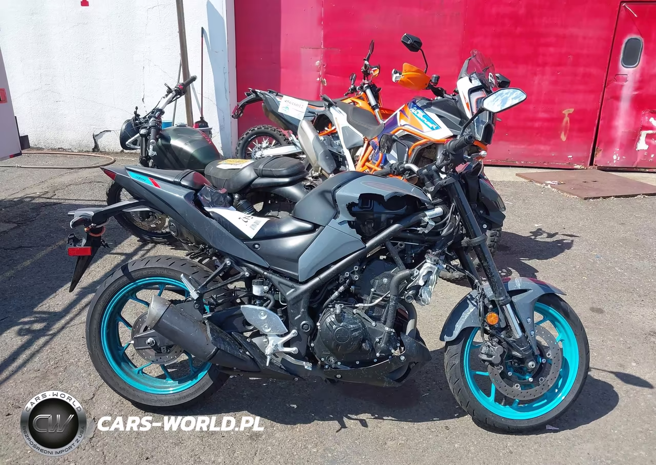 2023 Yamaha Mt-03 VIN:MH3RH20Y2PK009316 - 12