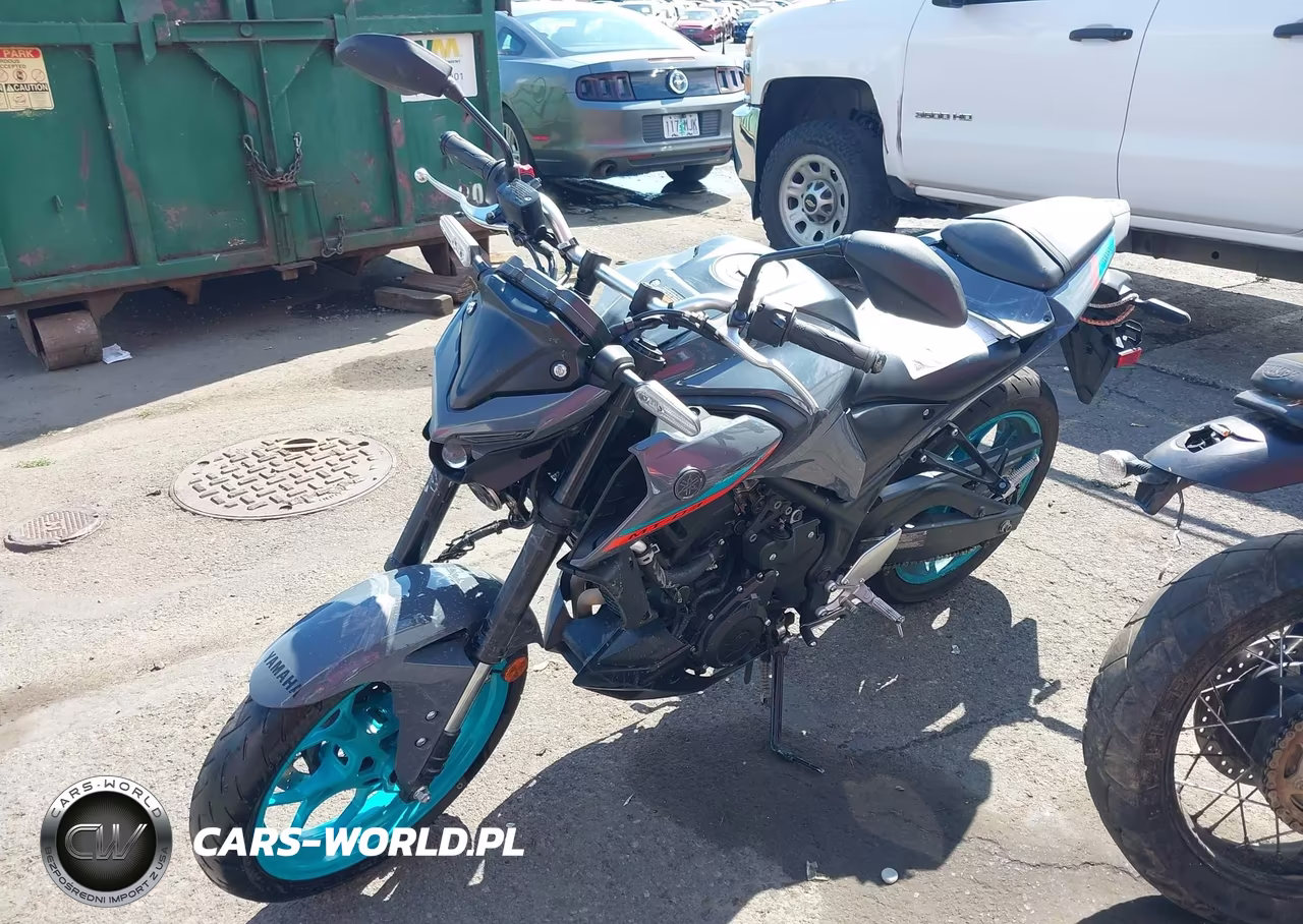 2023 Yamaha Mt-03 VIN:MH3RH20Y2PK009316 - 2