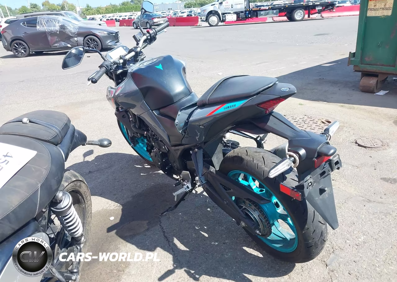 2023 Yamaha Mt-03 VIN:MH3RH20Y2PK009316 - 3
