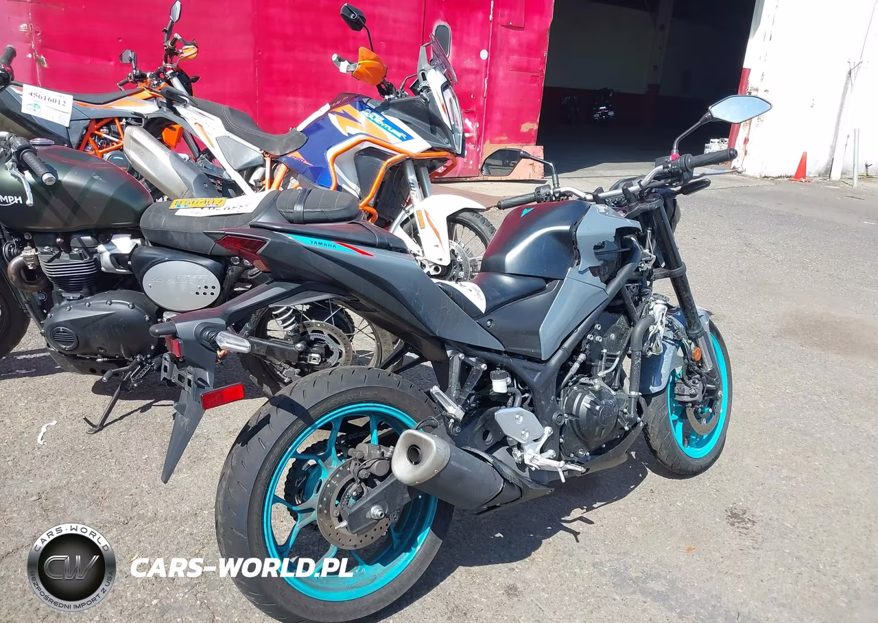 2023 Yamaha Mt-03 VIN:MH3RH20Y2PK009316 - 4