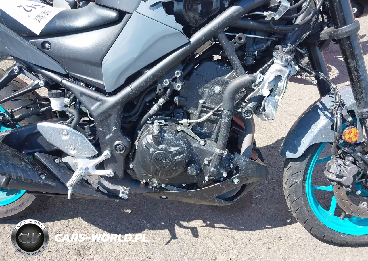 2023 Yamaha Mt-03 VIN:MH3RH20Y2PK009316 - 8