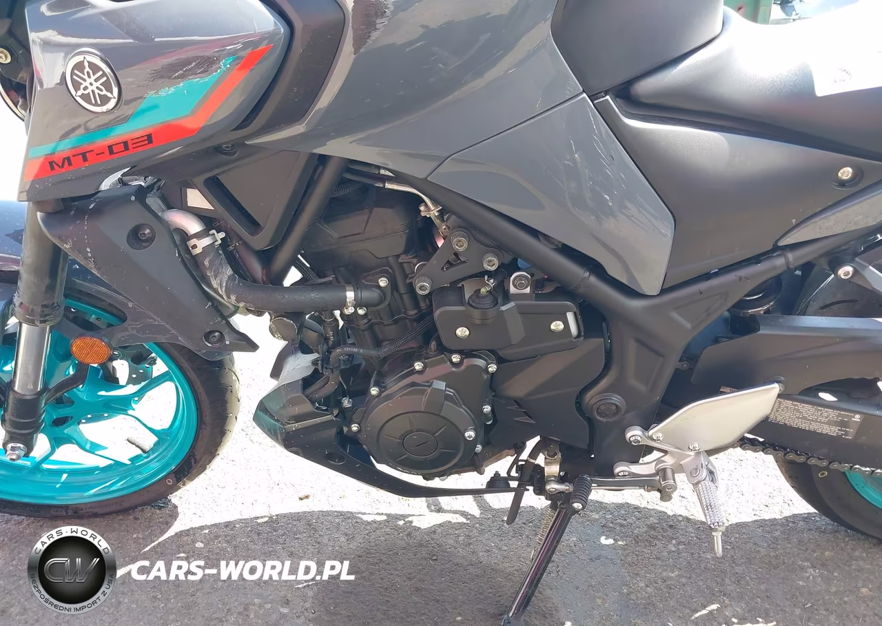 2023 Yamaha Mt-03 VIN:MH3RH20Y2PK009316 - 9
