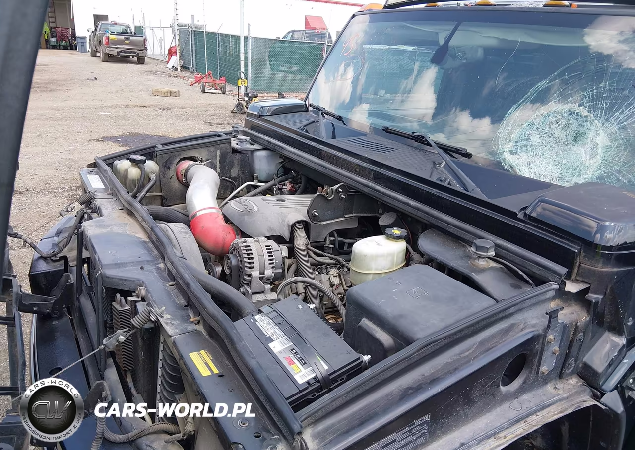 2006 Hummer H2 Sut VIN:5GRGN22U96H103194 - 10