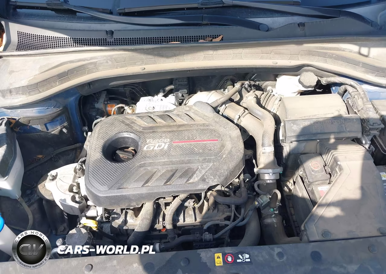 2019 Hyundai Santa Fe Limited 2.0T VIN:5NMS53AA9KH134088 - 10