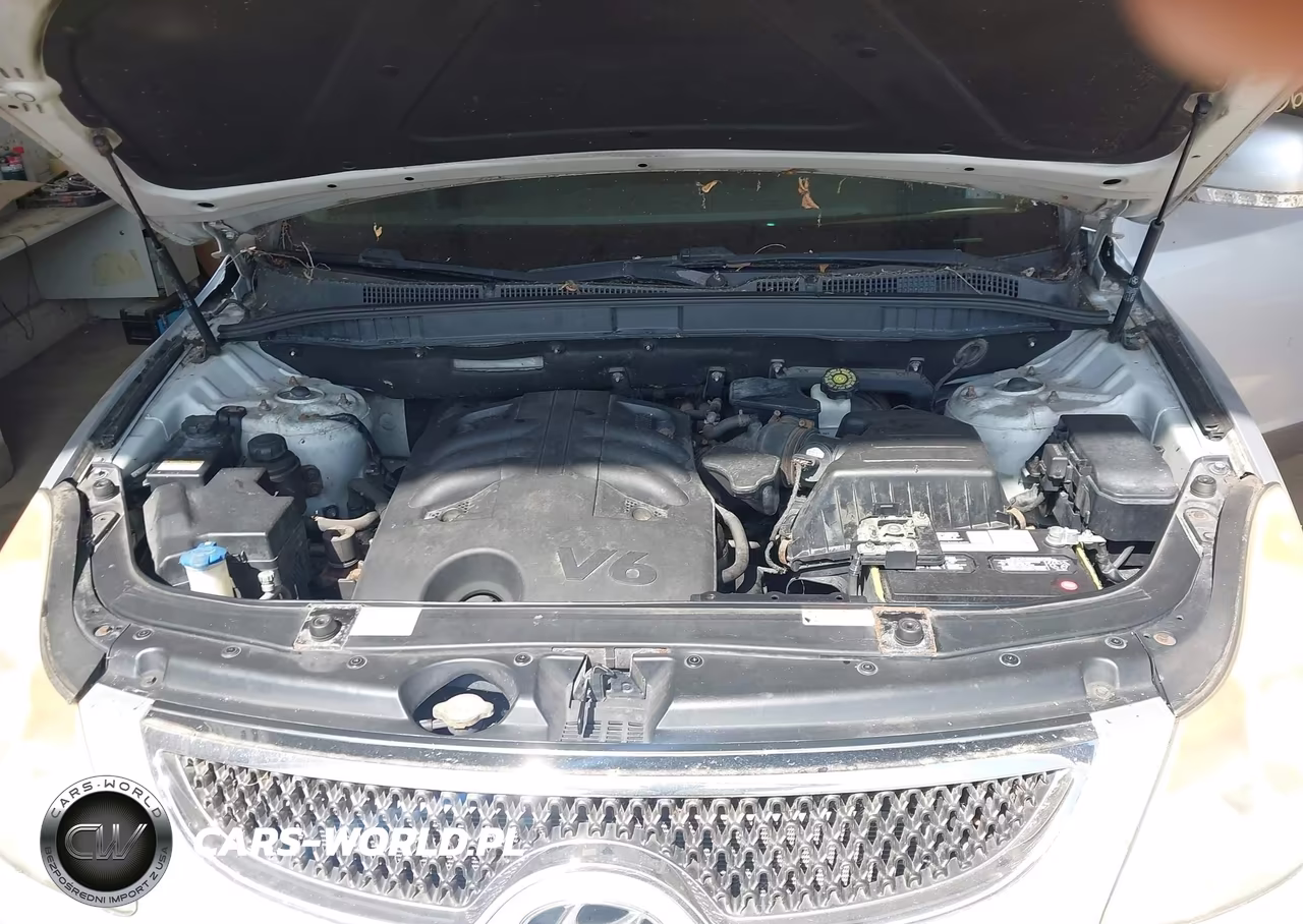 2008 Hyundai Veracruz Gls-Limited-Se VIN:KM8NU73C98U043471 - 10