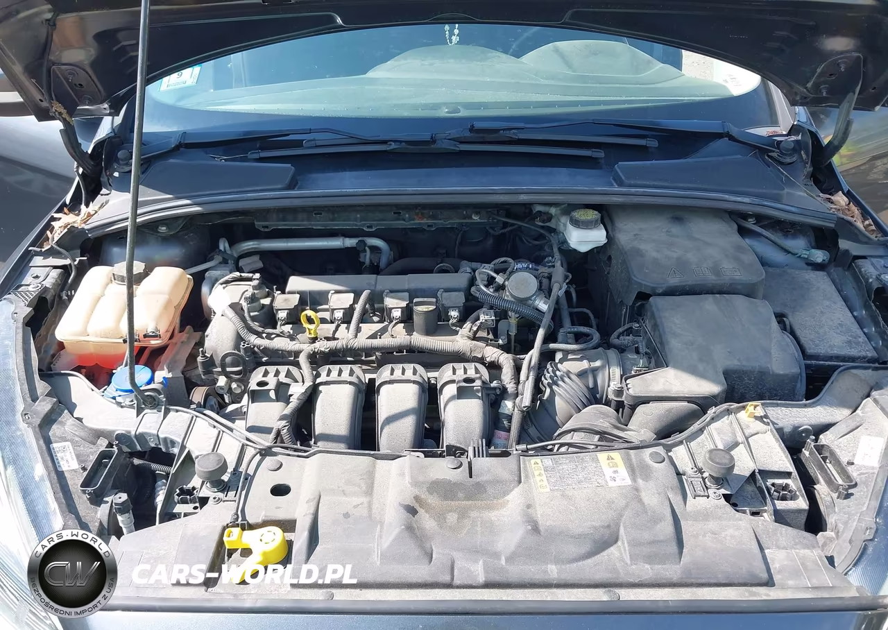 2018 Ford Focus Se VIN:1FADP3F24JL298145 - 10