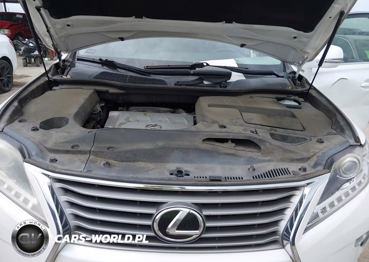 2014 Lexus Rx 350 VIN:JTJZK1BA8E2010314 - 10