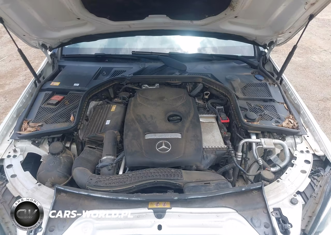 2015 Mercedes-Benz C 300 4Matic VIN:55SWF4KB4FU012529 - 10