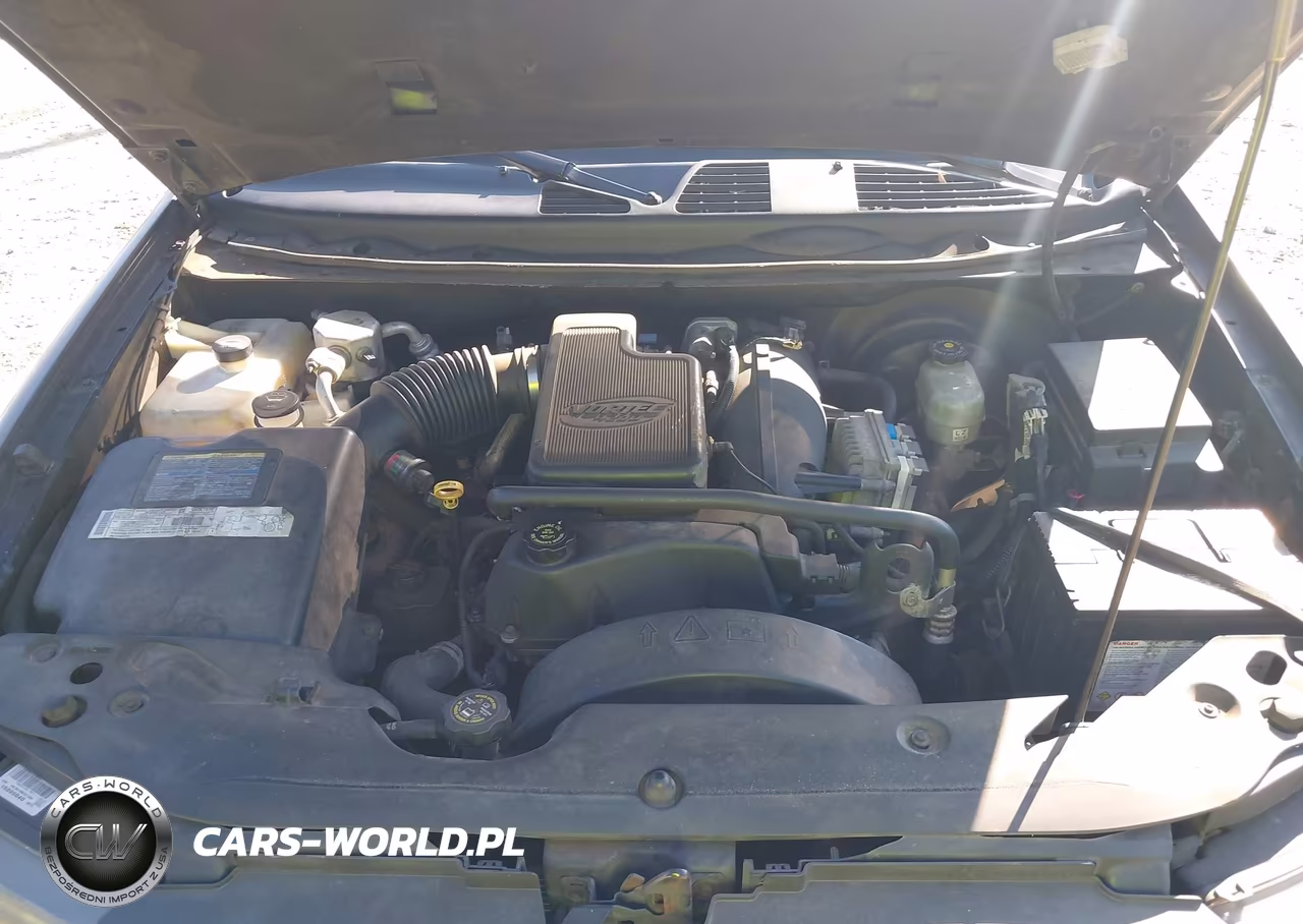 2002 Chevrolet Trailblazer Ls VIN:1GNDT13S622170924 - 10
