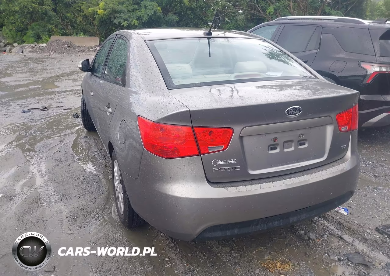 2010 Kia Forte Ex VIN:KNAFU4A23A5849823 - 3