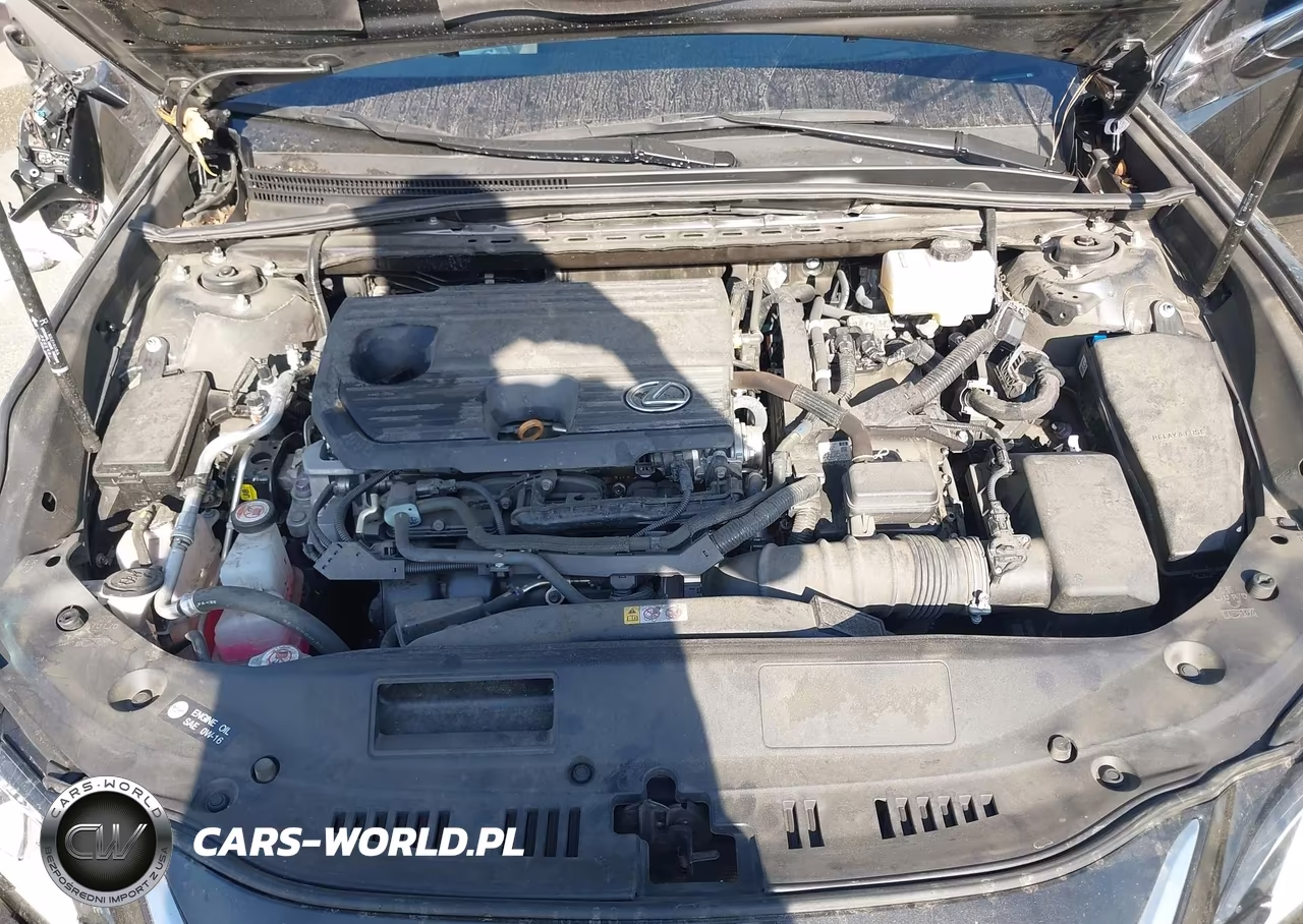 2024 Lexus Es 300H VIN:58ADA1C14RU043940 - 10