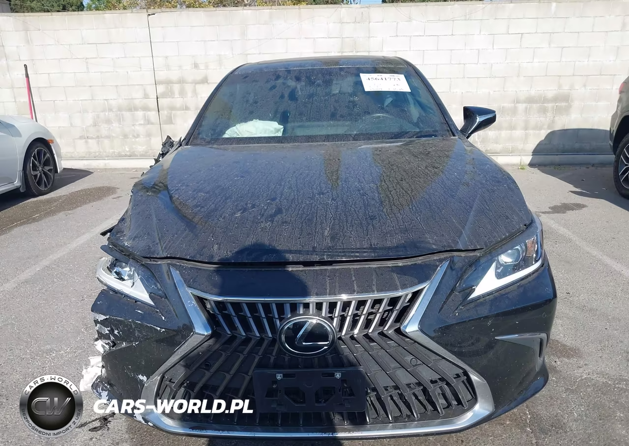 2024 Lexus Es 300H VIN:58ADA1C14RU043940 - 13
