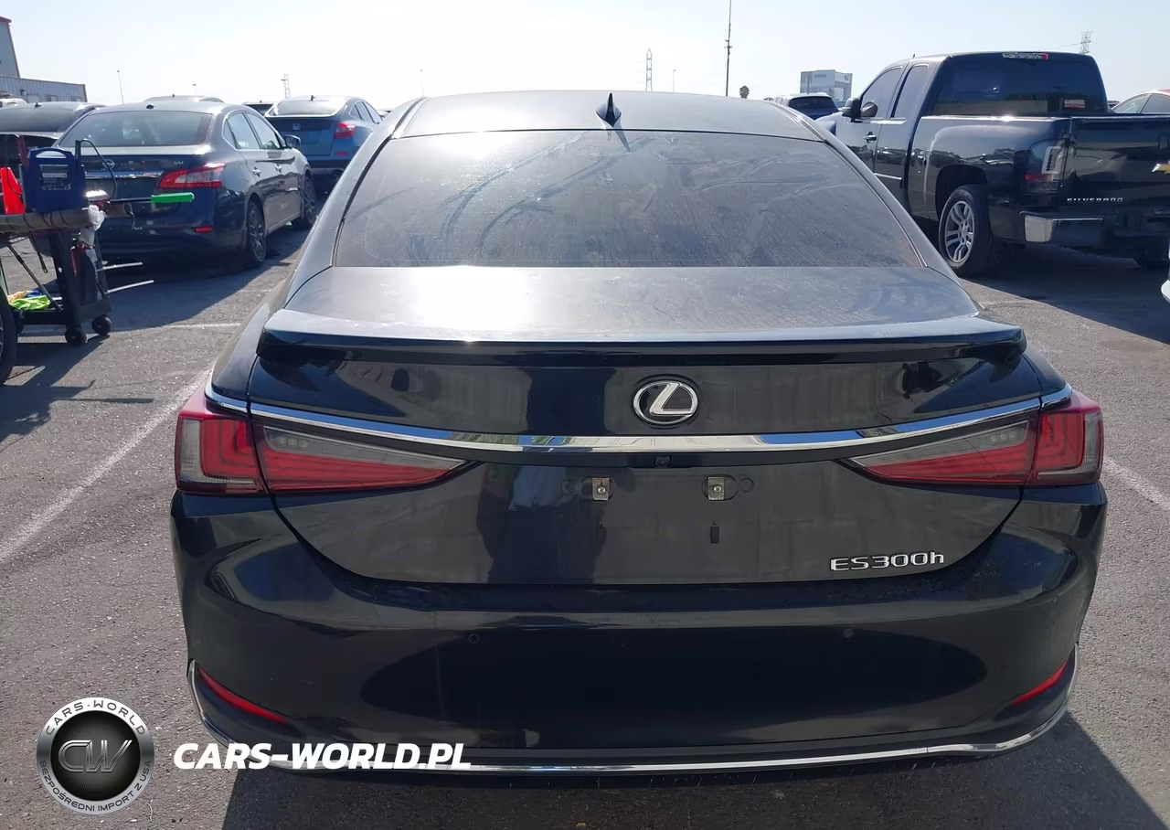 2024 Lexus Es 300H VIN:58ADA1C14RU043940 - 17