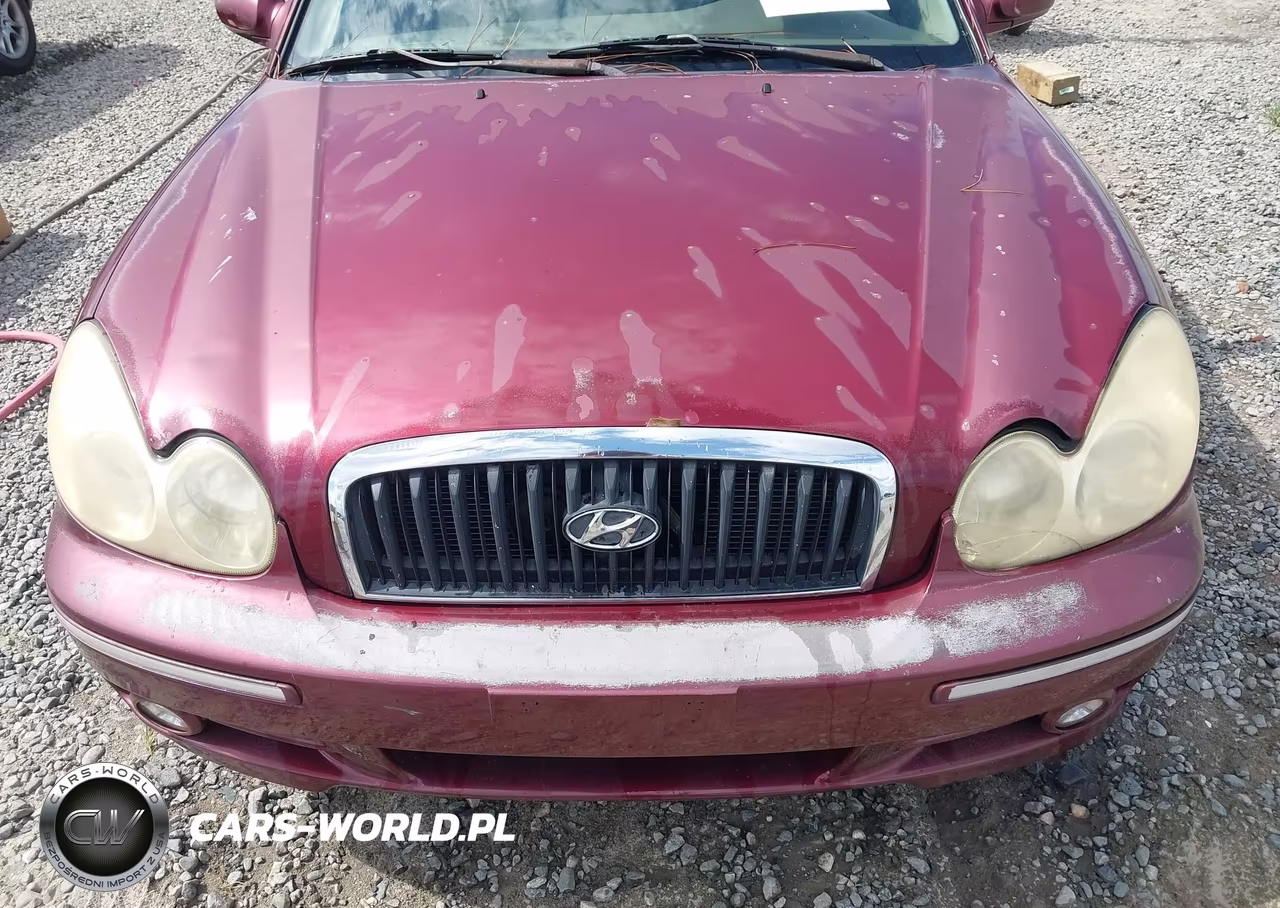 2005 Hyundai Sonata Gls-Lx VIN:KMHWF35H85A177255 - 6