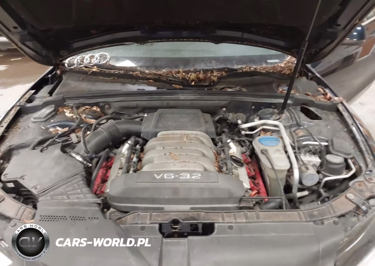 2009 Audi A5 3.2L VIN:WAUDK78T89A047610 - 10