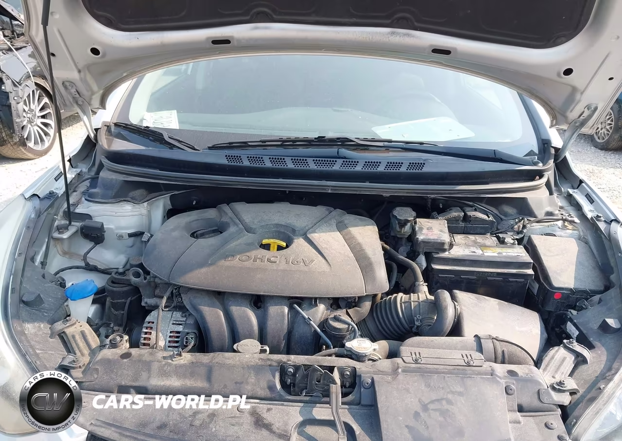 2016 Hyundai Elantra Value Edition VIN:5NPDH4AE8GH795162 - 10