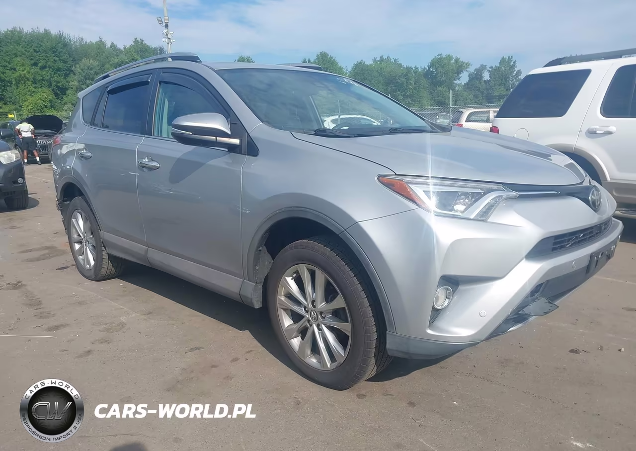 2018 Toyota Rav4 Limited VIN:2T3DFREV0JW828796 - 1