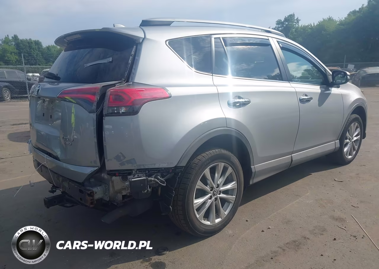 2018 Toyota Rav4 Limited VIN:2T3DFREV0JW828796 - 4