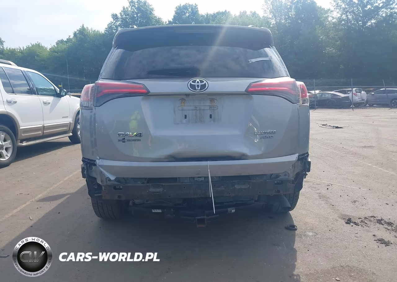 2018 Toyota Rav4 Limited VIN:2T3DFREV0JW828796 - 6