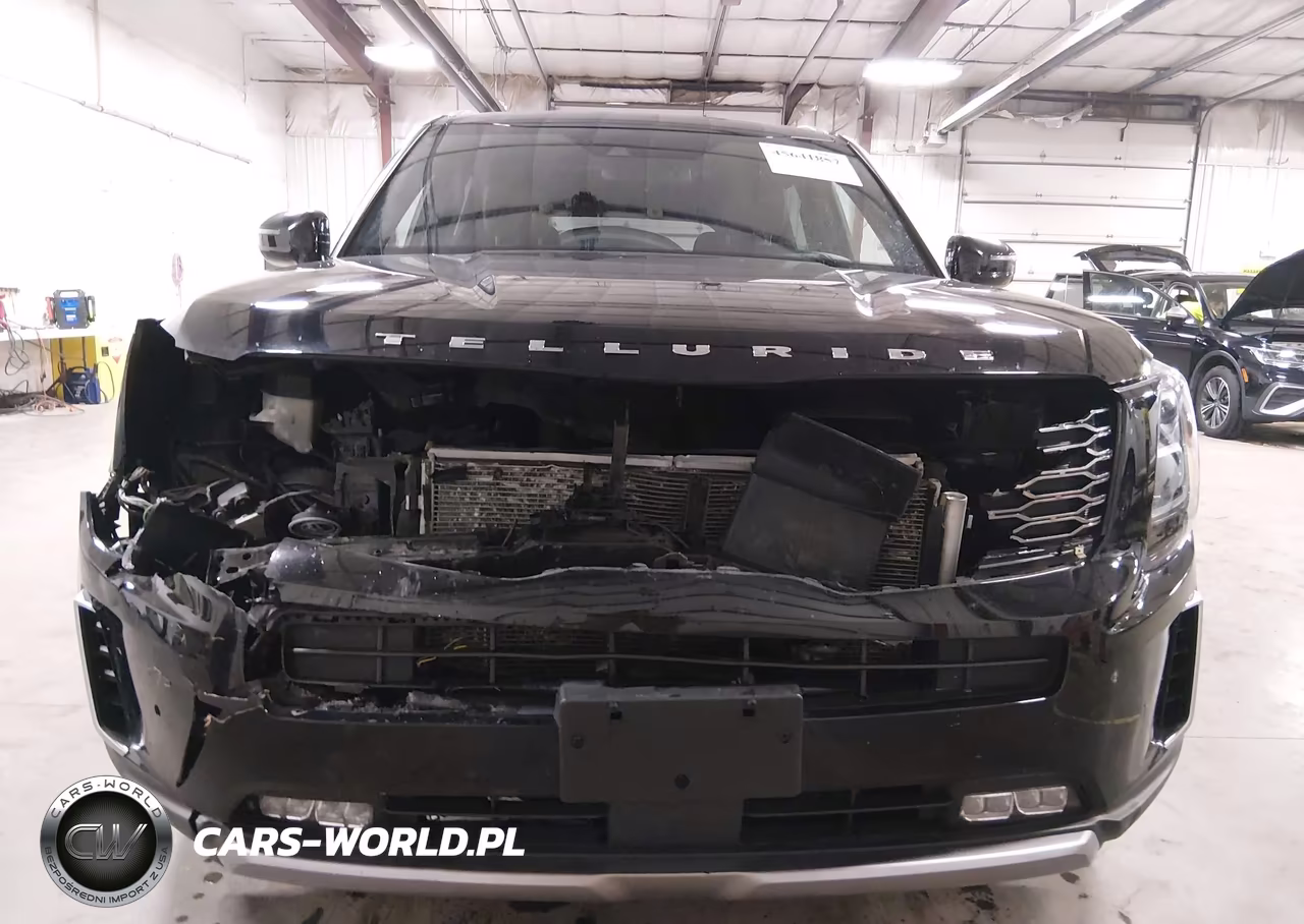 2020 Kia Telluride Sx VIN:5XYP5DHC0LG013979 - 12