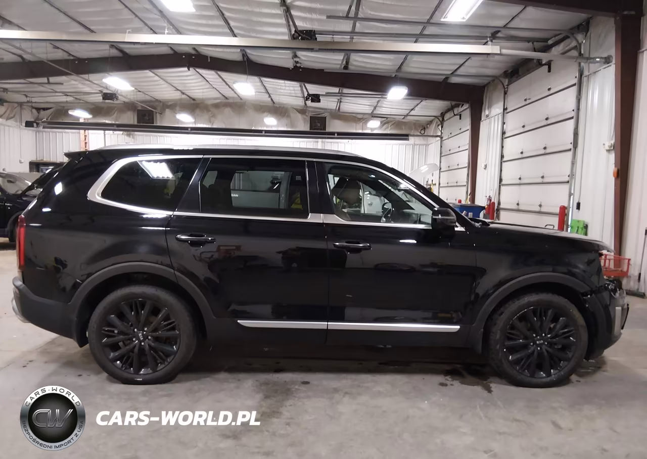 2020 Kia Telluride Sx VIN:5XYP5DHC0LG013979 - 13
