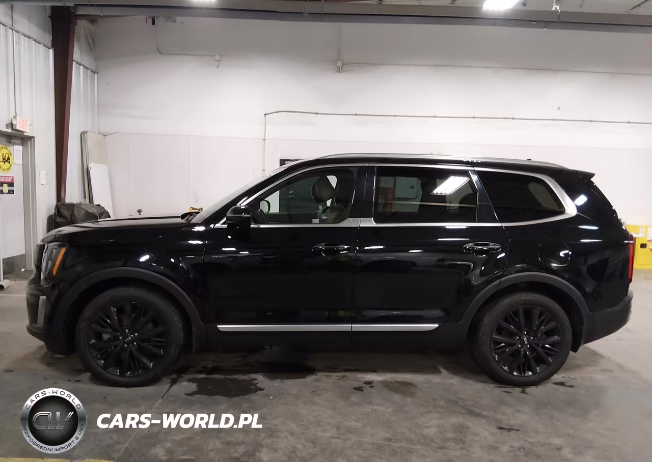 2020 Kia Telluride Sx VIN:5XYP5DHC0LG013979 - 14