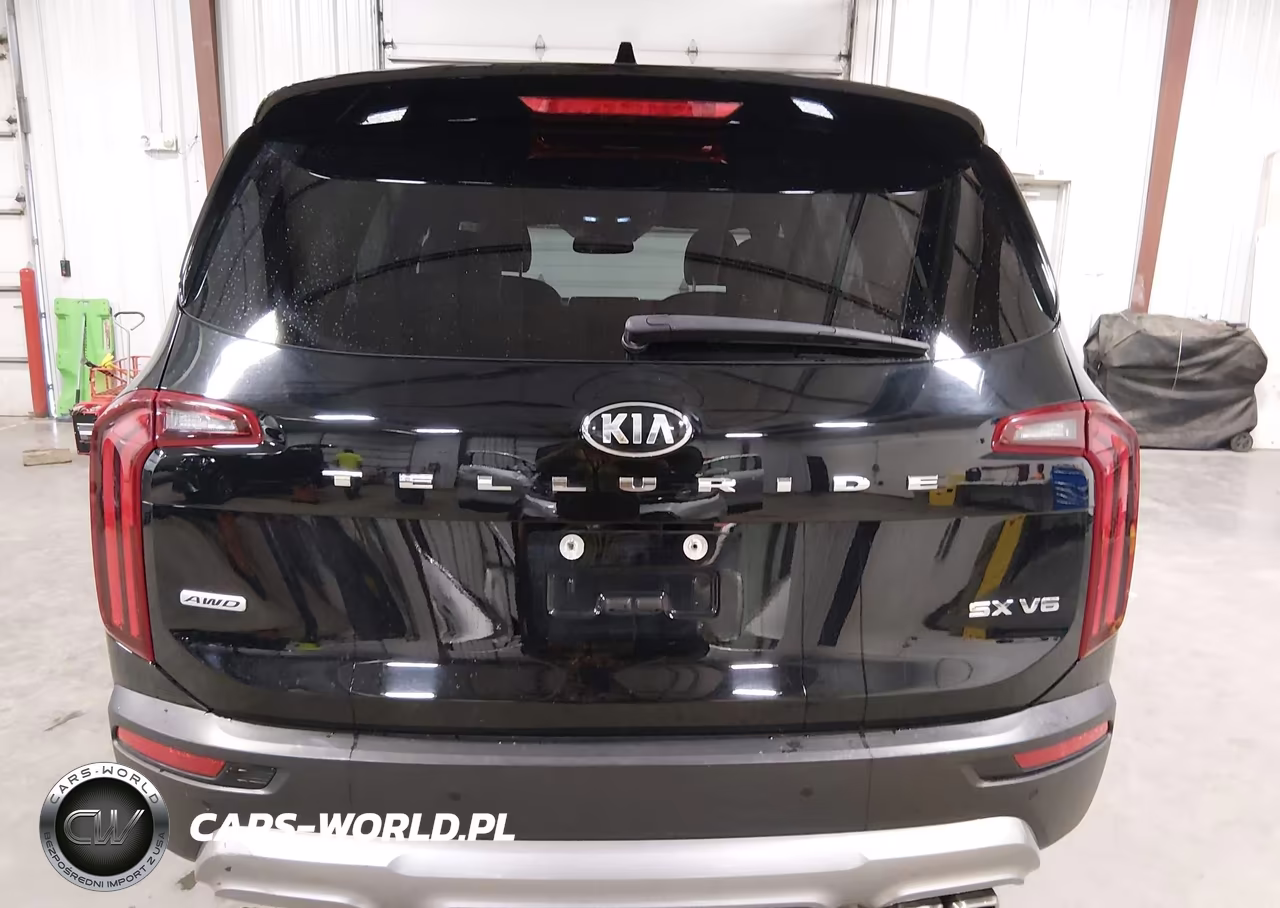 2020 Kia Telluride Sx VIN:5XYP5DHC0LG013979 - 16