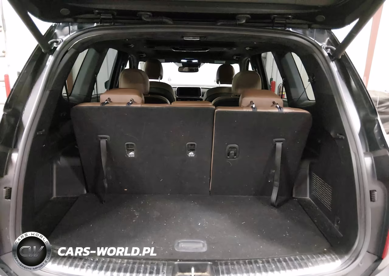 2020 Kia Telluride Sx VIN:5XYP5DHC0LG013979 - 17