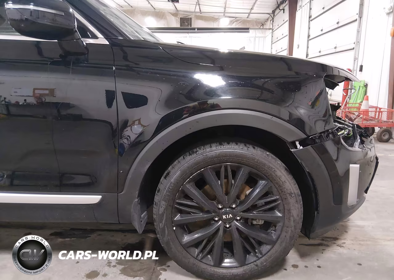 2020 Kia Telluride Sx VIN:5XYP5DHC0LG013979 - 18