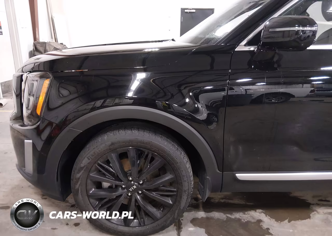 2020 Kia Telluride Sx VIN:5XYP5DHC0LG013979 - 19