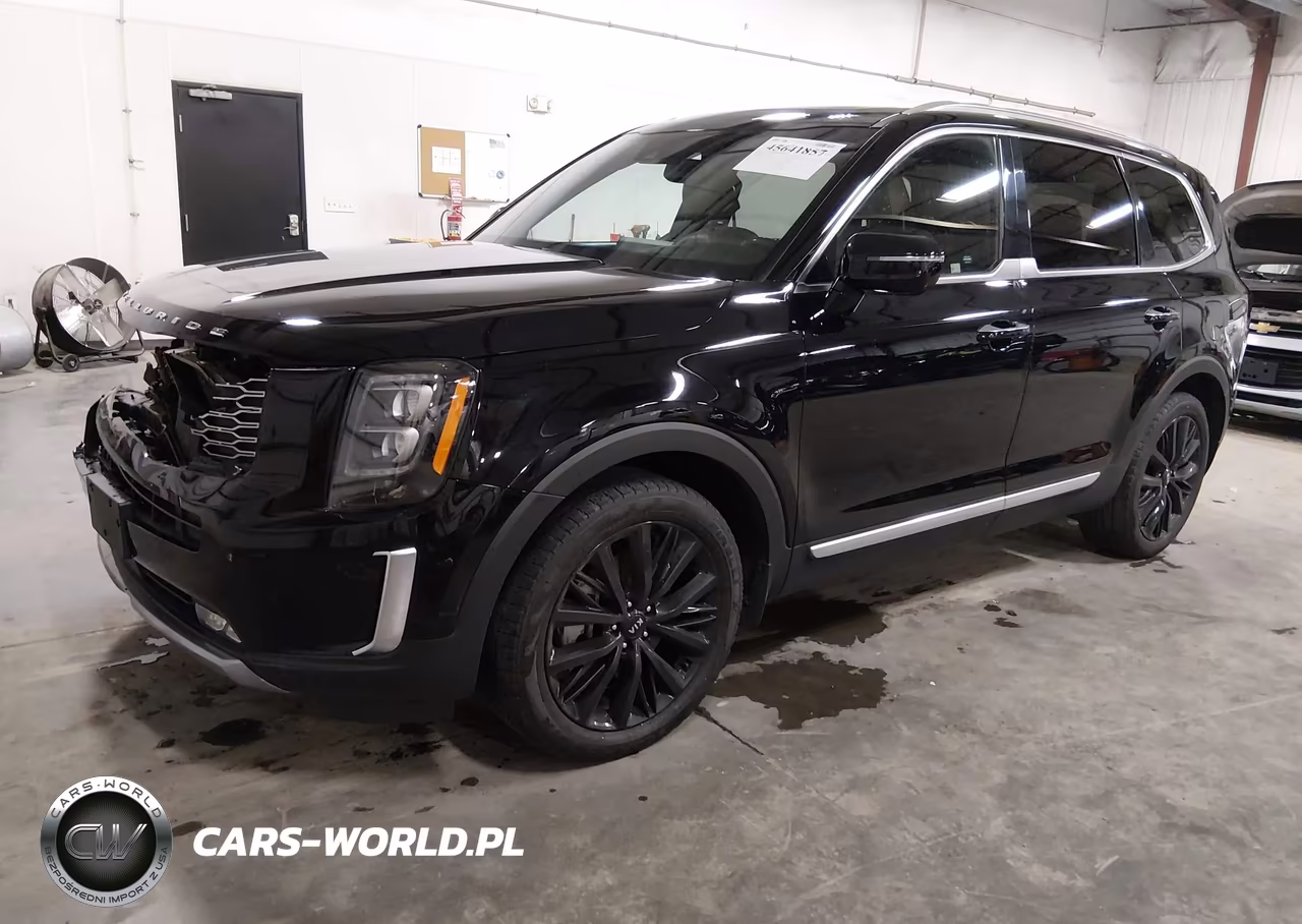 2020 Kia Telluride Sx VIN:5XYP5DHC0LG013979 - 2