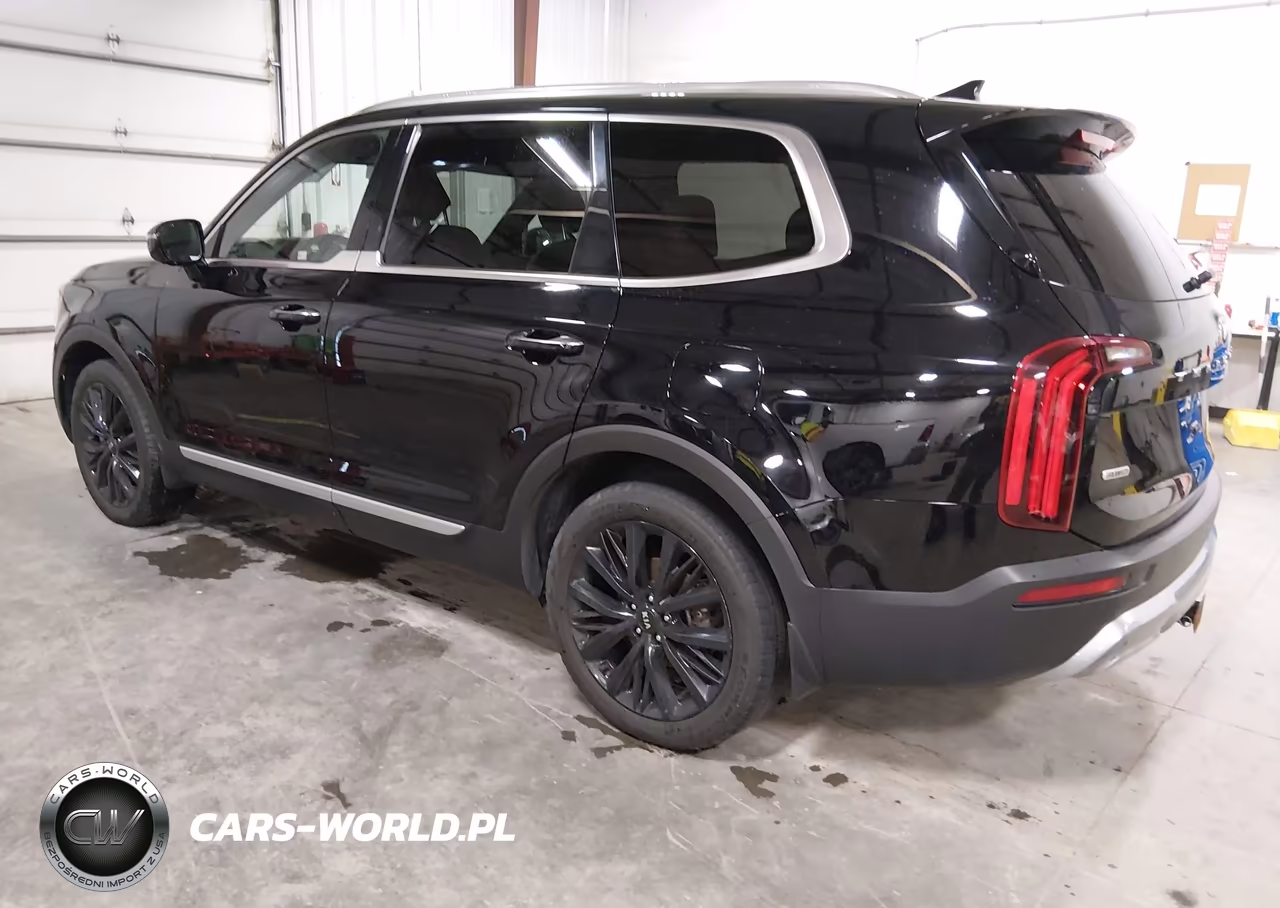 2020 Kia Telluride Sx VIN:5XYP5DHC0LG013979 - 3
