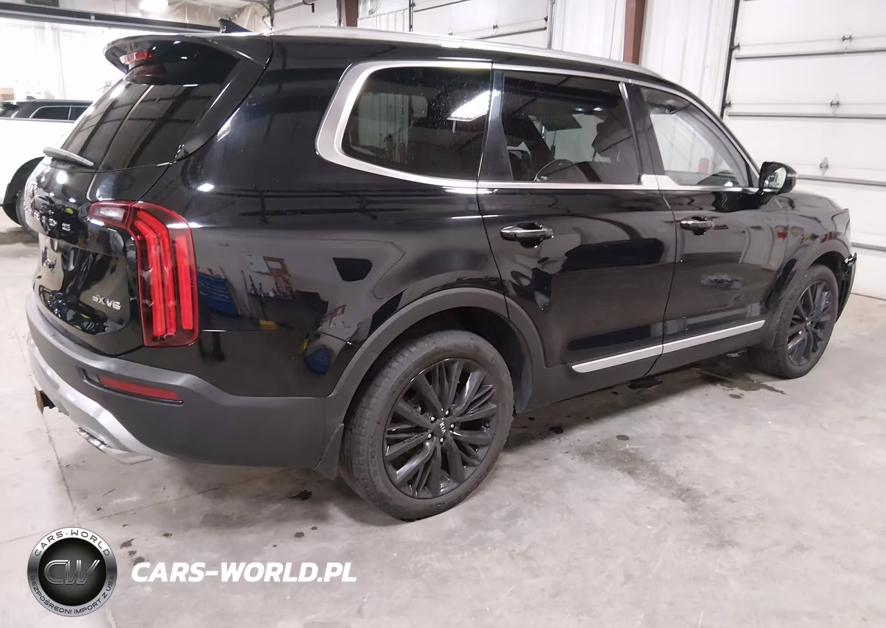 2020 Kia Telluride Sx VIN:5XYP5DHC0LG013979 - 4