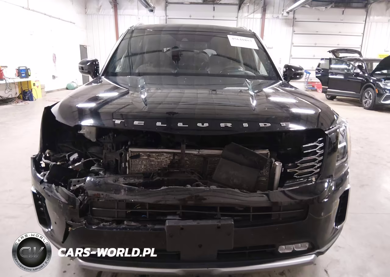 2020 Kia Telluride Sx VIN:5XYP5DHC0LG013979 - 6