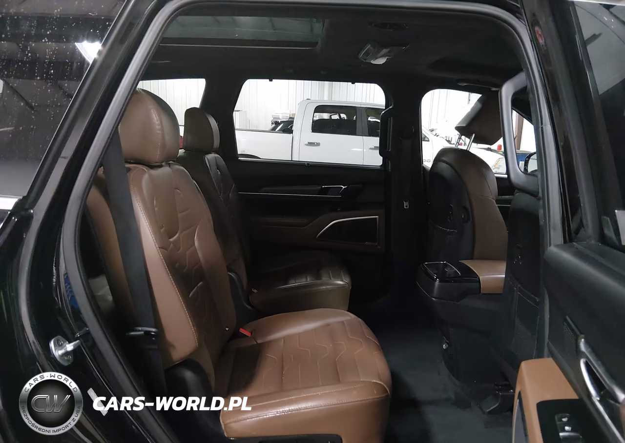 2020 Kia Telluride Sx VIN:5XYP5DHC0LG013979 - 8