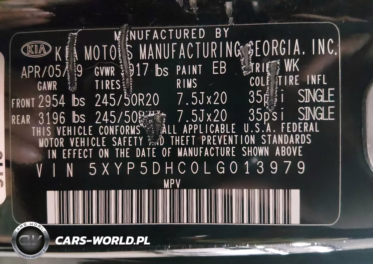 2020 Kia Telluride Sx VIN:5XYP5DHC0LG013979 - 9