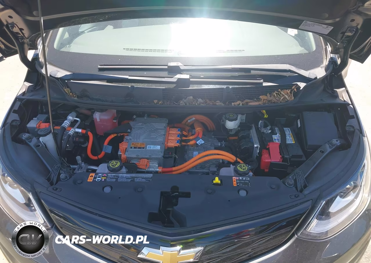 2021 Chevrolet Bolt Ev Fwd Premier VIN:1G1FZ6S08M4110009 - 10