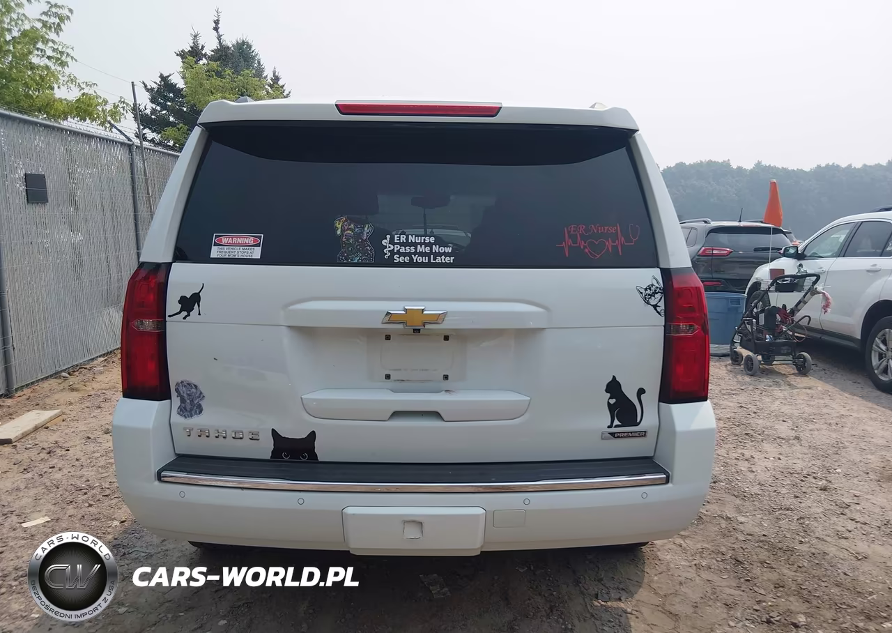 2018 Chevrolet Tahoe Premier VIN:1GNSKCKC9JR102266 - 17