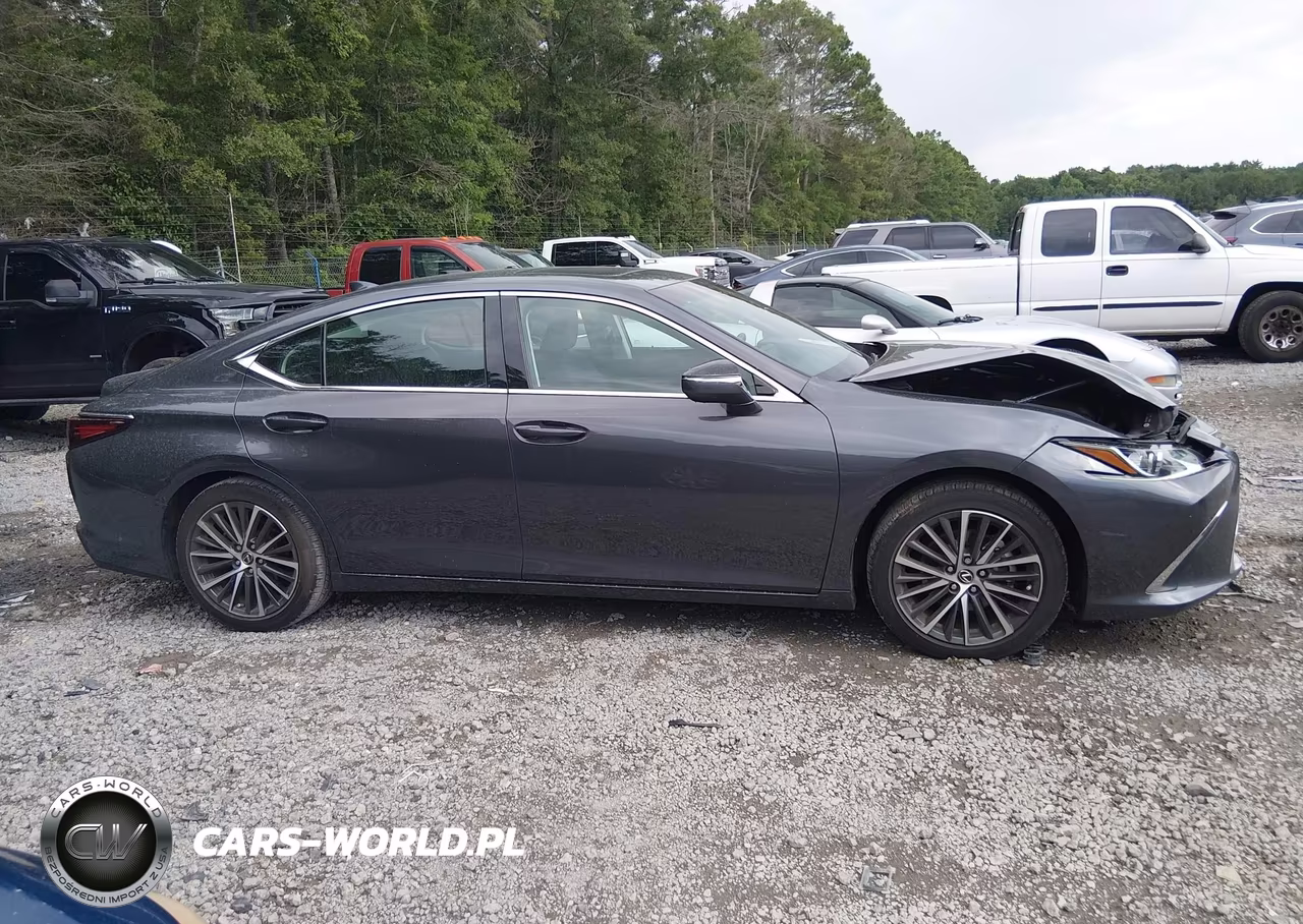 2023 Lexus Es 350 VIN:58ADZ1B11PU139807 - 13