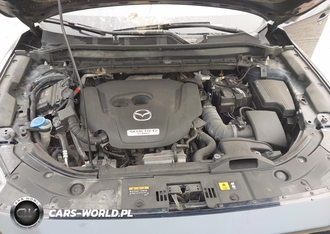 2023 Mazda Cx-5 2.5 Turbo VIN:JM3KFBAY0P0128800 - 10