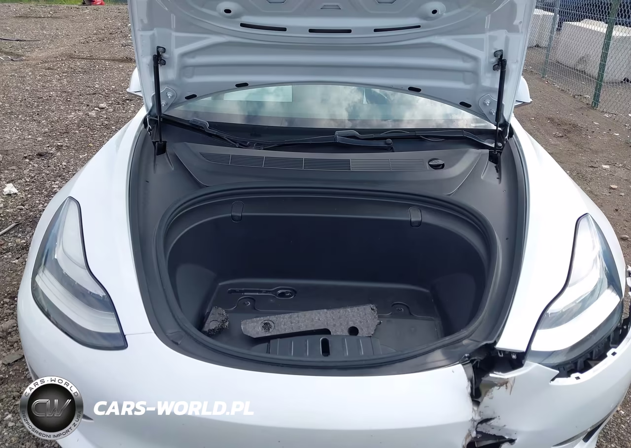 2019 Tesla Model 3 Long Range-Mid Range-Standard Range-Standard Range Plus VIN:5YJ3E1EA1KF486618 - 10