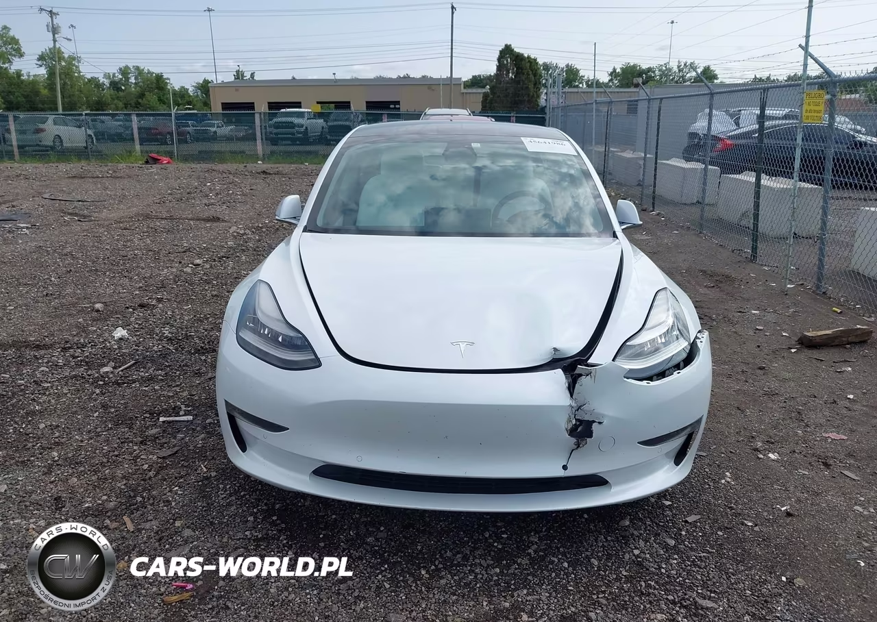 2019 Tesla Model 3 Long Range-Mid Range-Standard Range-Standard Range Plus VIN:5YJ3E1EA1KF486618 - 11