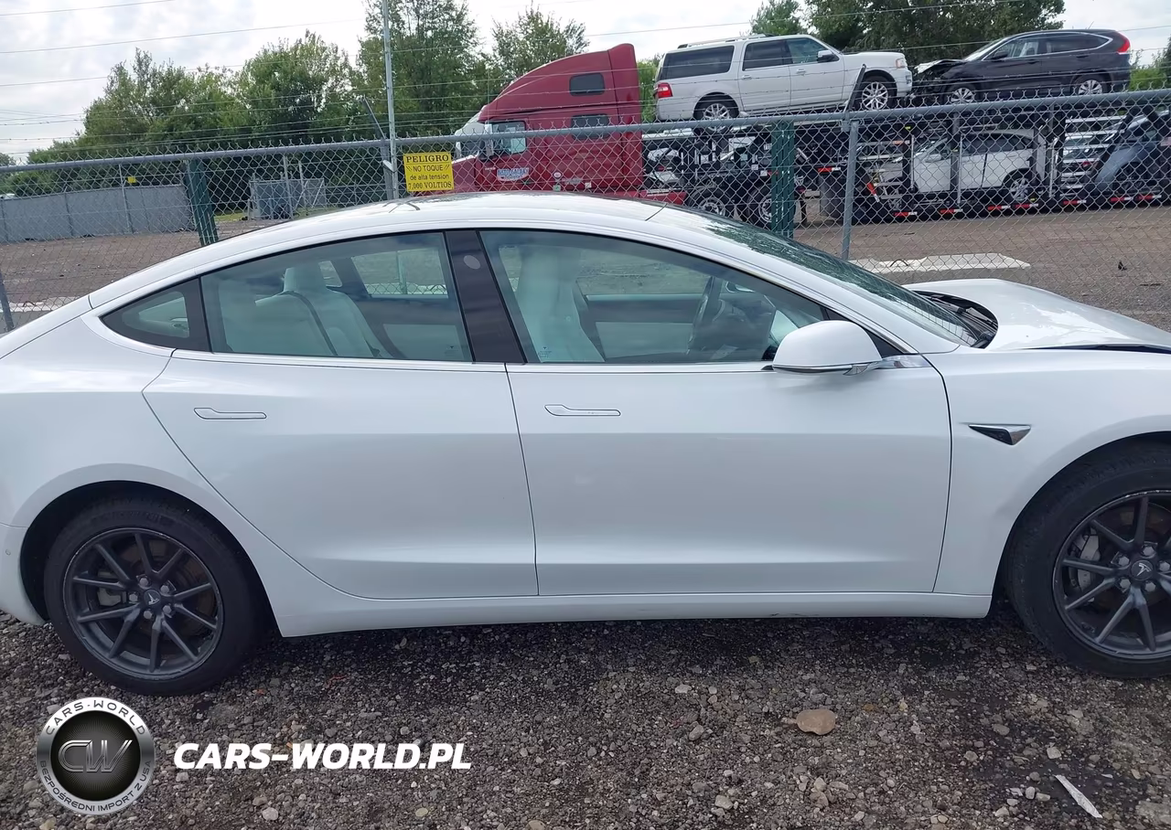 2019 Tesla Model 3 Long Range-Mid Range-Standard Range-Standard Range Plus VIN:5YJ3E1EA1KF486618 - 12