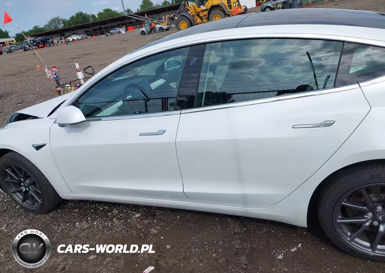 2019 Tesla Model 3 Long Range-Mid Range-Standard Range-Standard Range Plus VIN:5YJ3E1EA1KF486618 - 13