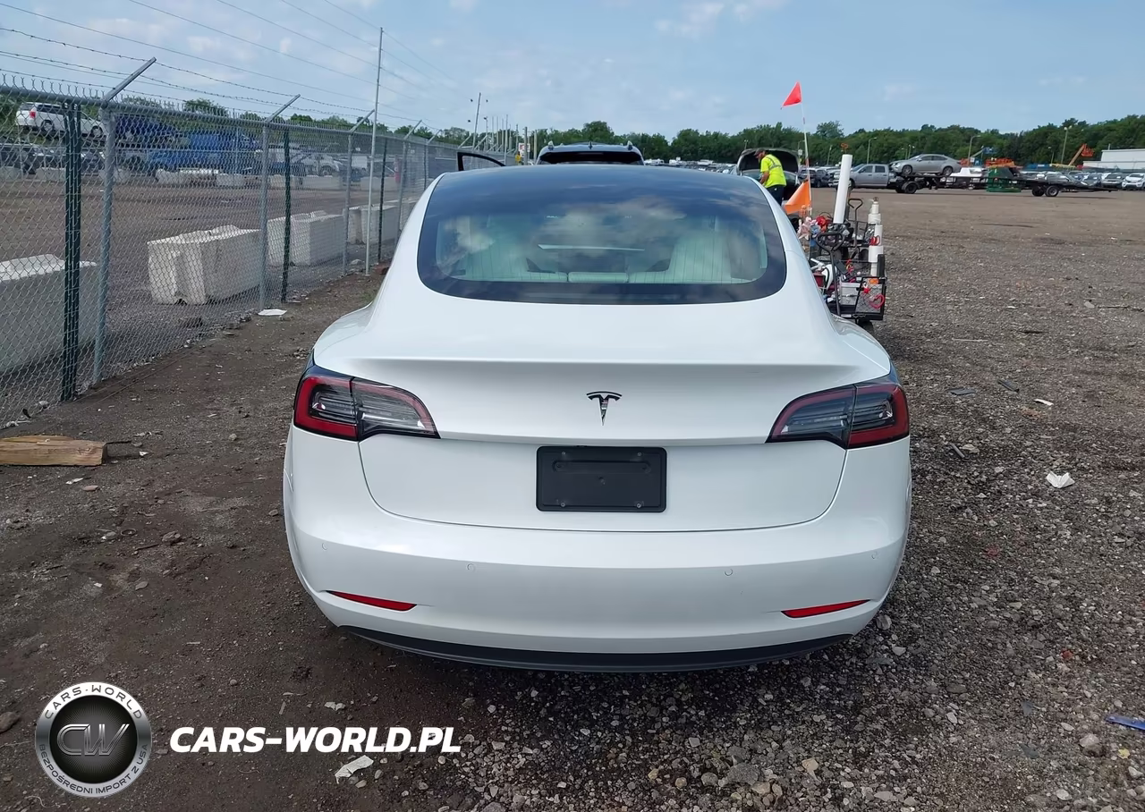 2019 Tesla Model 3 Long Range-Mid Range-Standard Range-Standard Range Plus VIN:5YJ3E1EA1KF486618 - 15