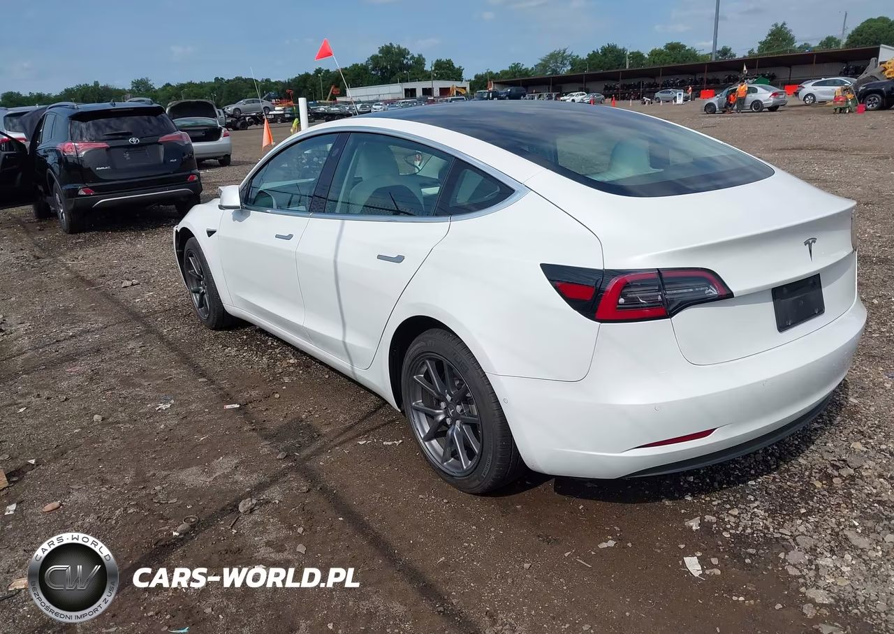 2019 Tesla Model 3 Long Range-Mid Range-Standard Range-Standard Range Plus VIN:5YJ3E1EA1KF486618 - 3